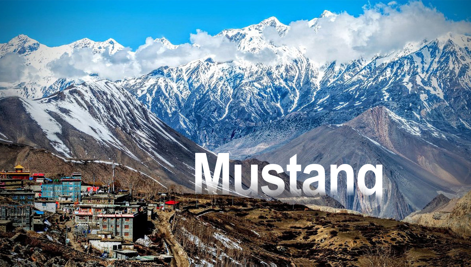 Mustang