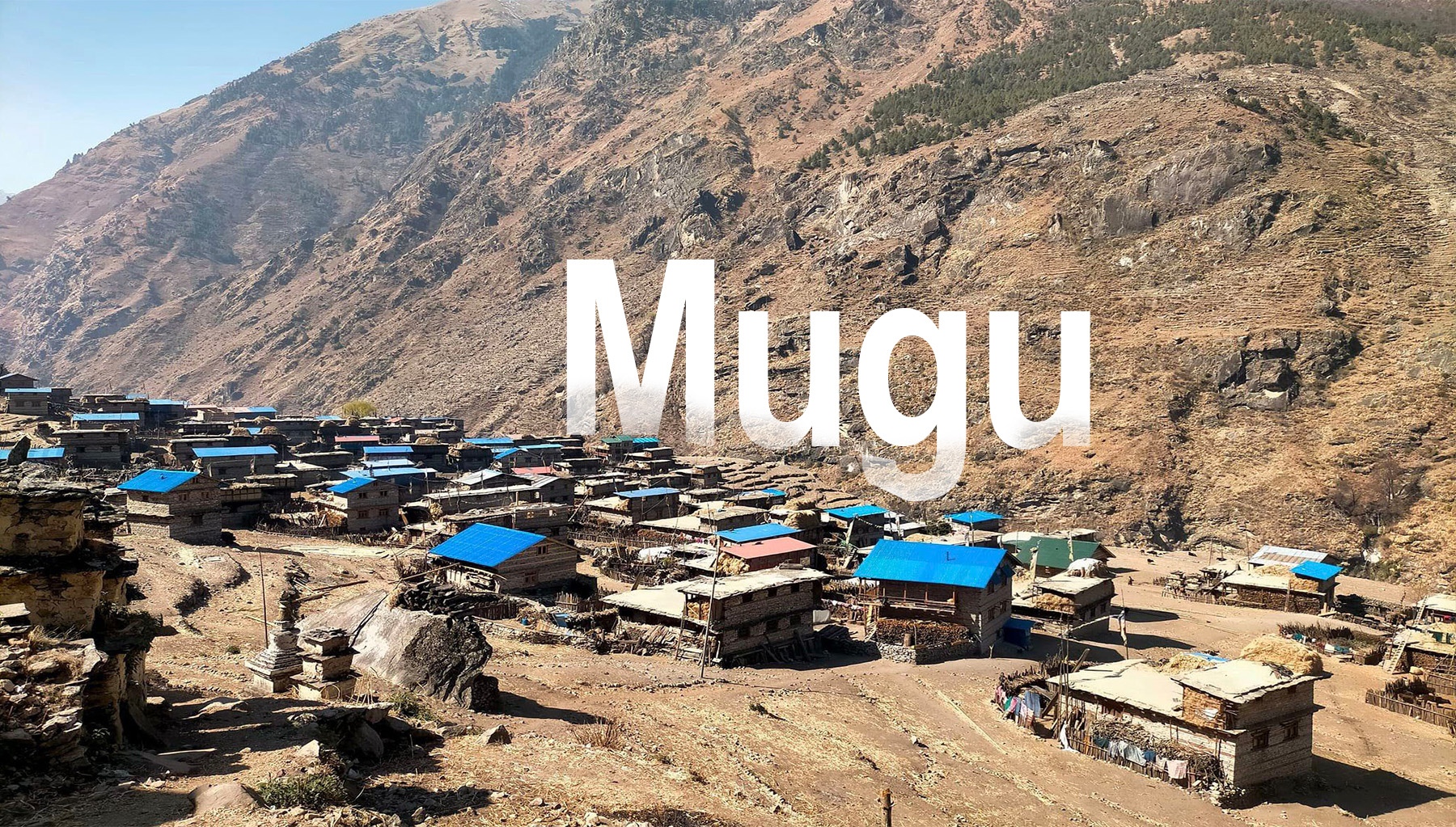 Mugu