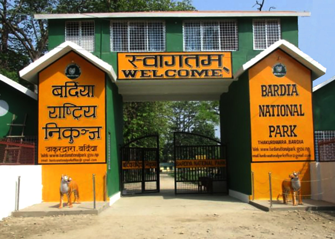 Bardiya