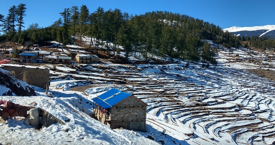 Kalikot